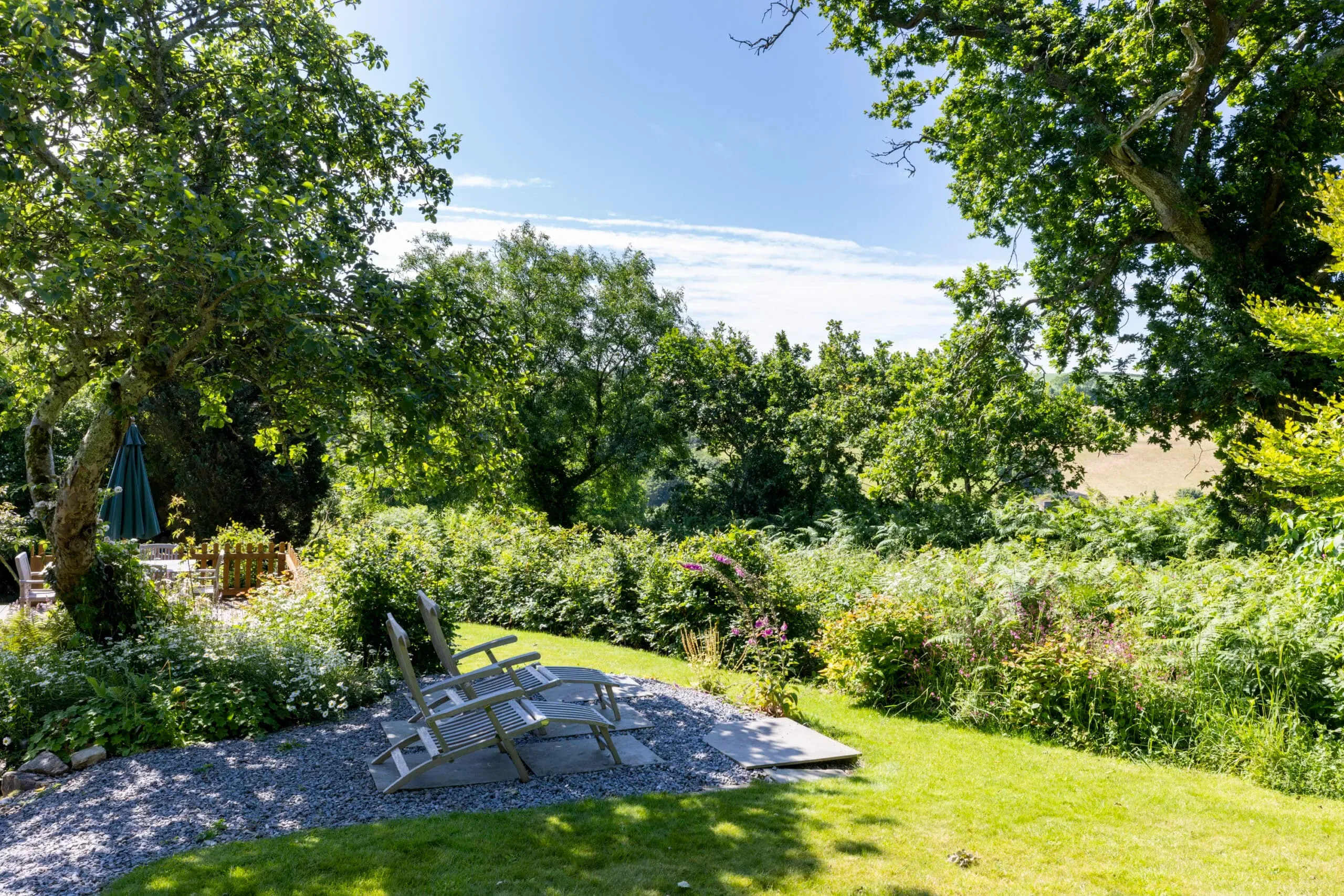 Bowden Wood — view