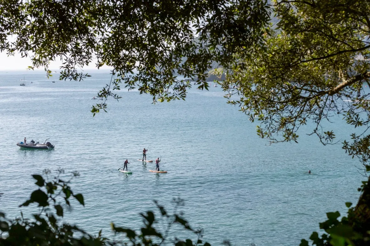 Cable Cottage — view